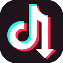 TikTok Downloader